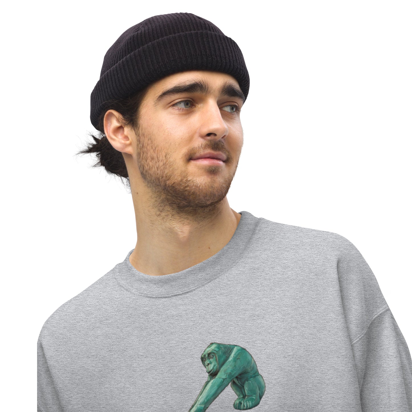 Sweat-shirt Citroën 2CV Perrier – Illustration artistique en édition spéciale | Collection Spéciales