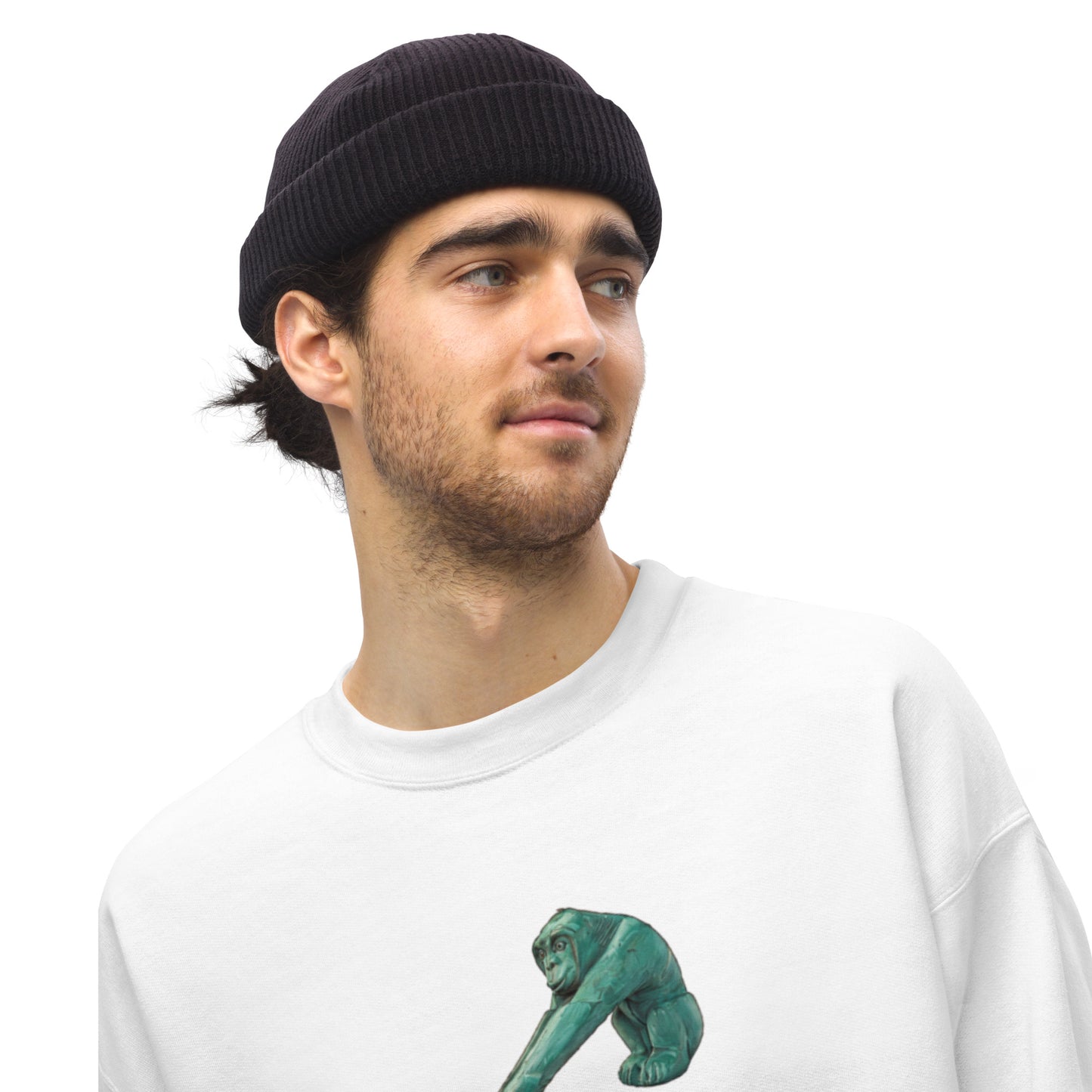 Sweat-shirt Citroën 2CV Perrier – Illustration artistique en édition spéciale | Collection Spéciales